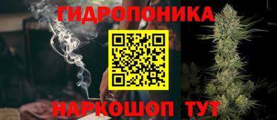 прущие грибы Камышлов