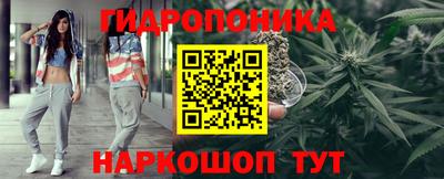 прущие грибы Камышлов