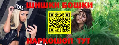 прущие грибы Камышлов