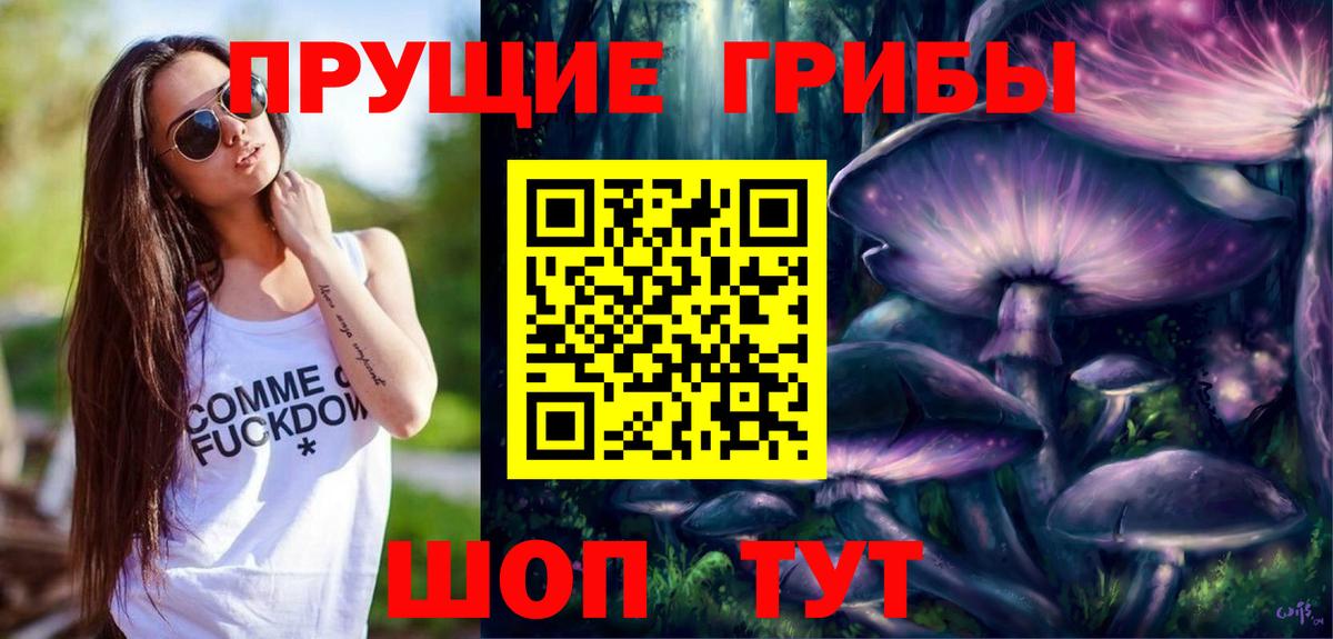 Галлюциногенные грибы Psilocybine cubensis Кропоткин